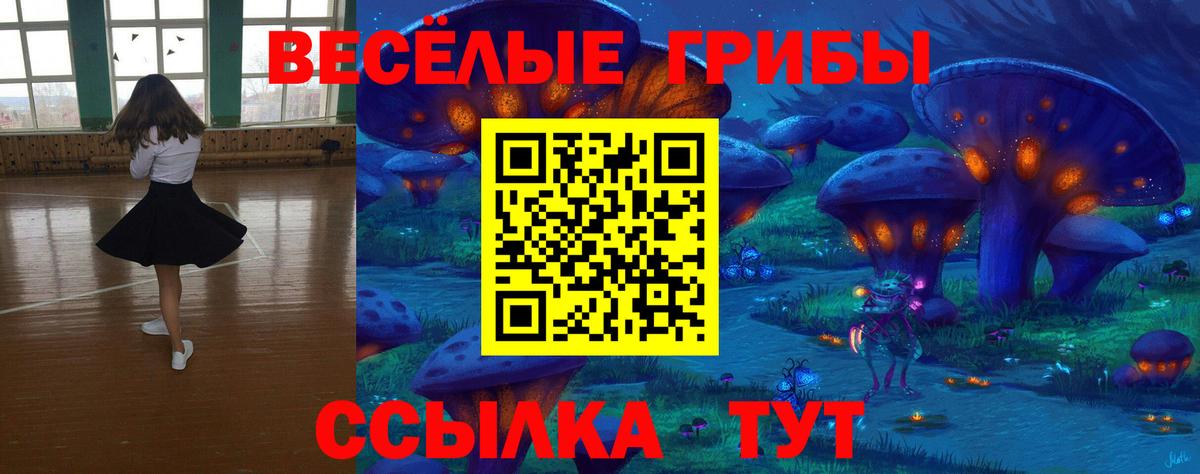 Псилоцибиновые грибы мухоморы  Вход с VPN  Нефтекумск 