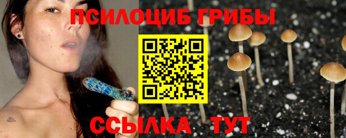 Псилоцибиновые грибы прущие грибы Нефтекумск